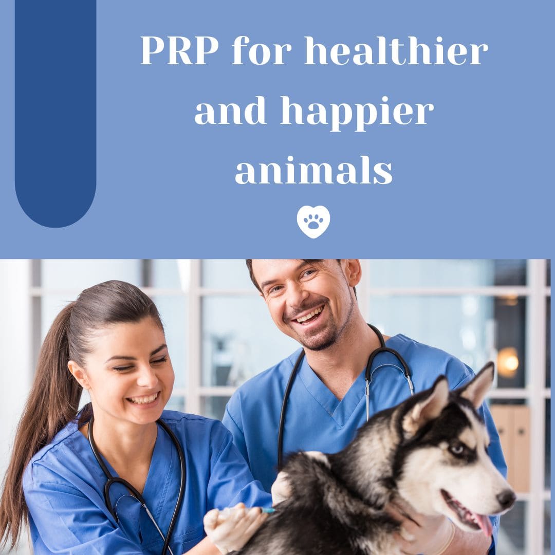 PRP tubes for veterinary and veterinary medicine